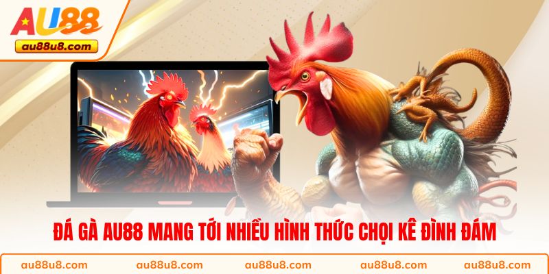Đá gà AU88 mang tới nhiều hình thức chọi kê đình đám