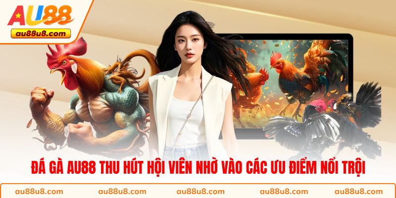 Đá gà AU88 thu hút hội viên nhờ vào các ưu điểm nổi trội